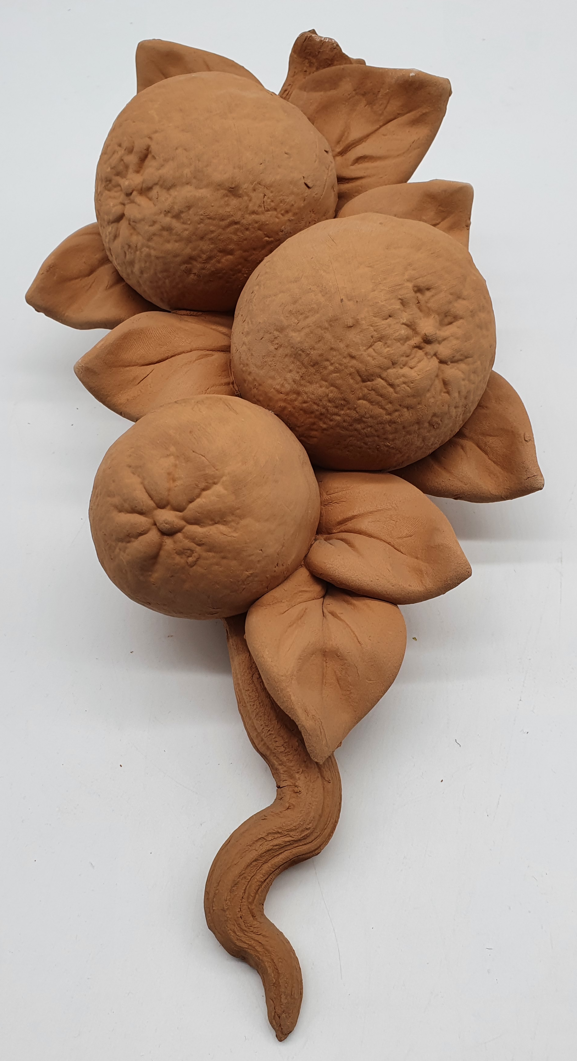 Tralcio Arance Grande Terracotta