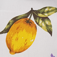 Lemons Kitchen Apron