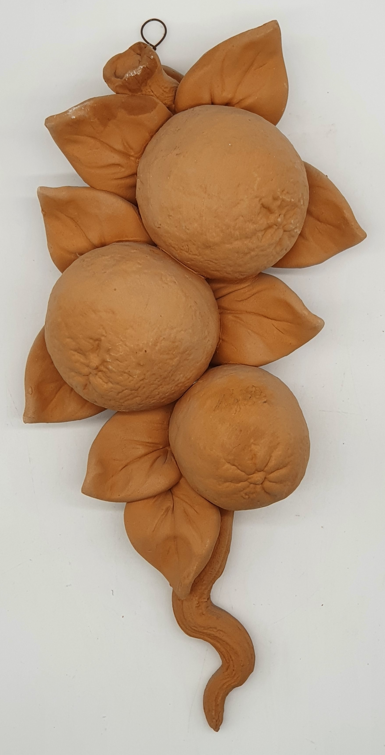 Tralcio Arance Grande Terracotta