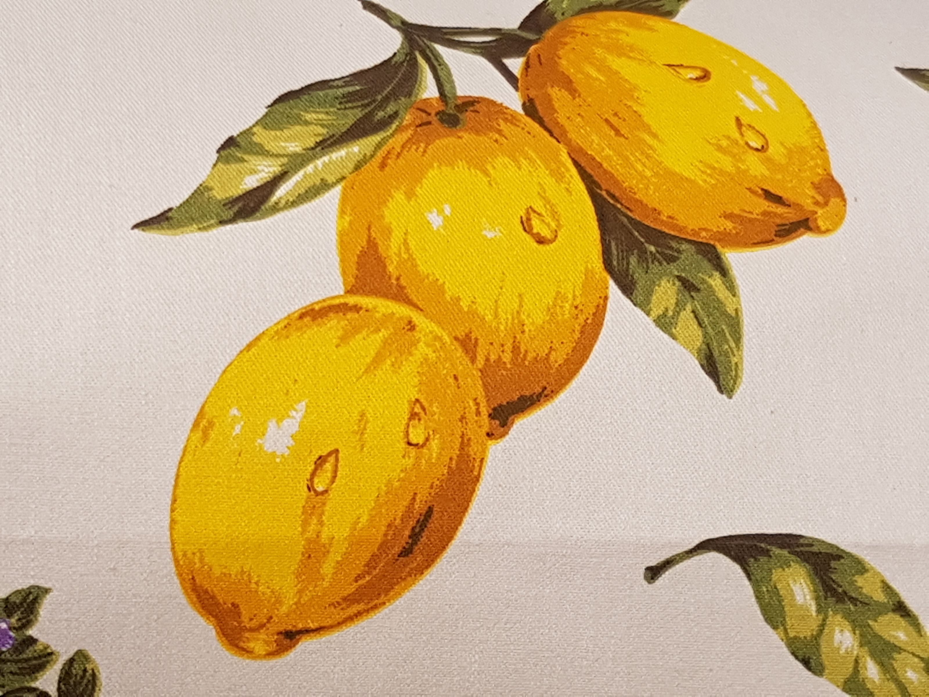Lemons Kitchen Apron