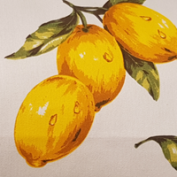 Lemons Kitchen Apron