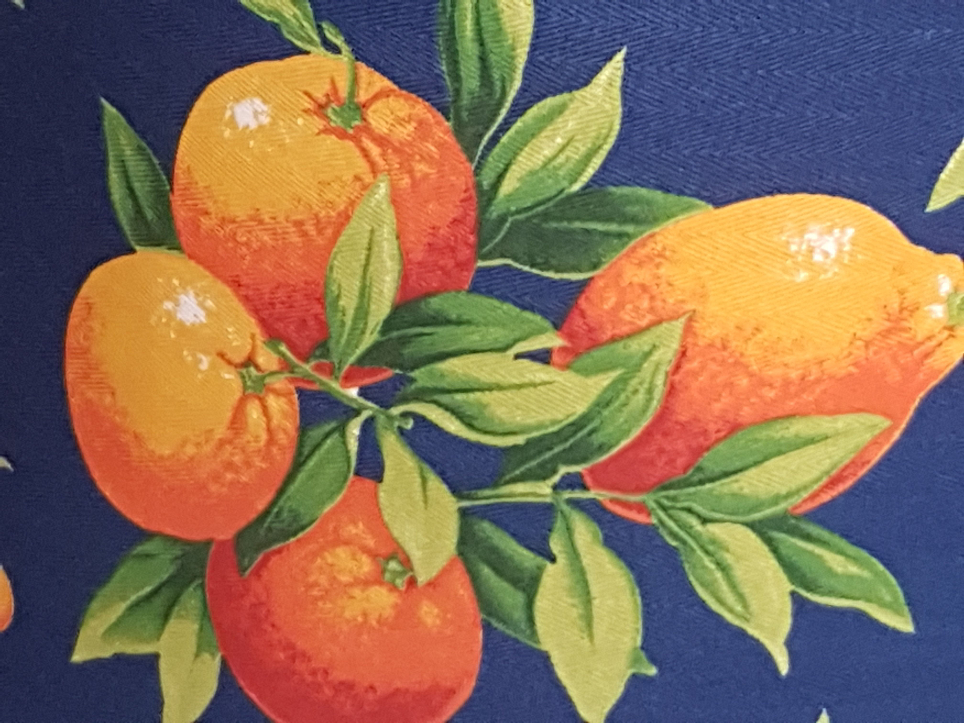 Kitchen Apron Oranges Blue Background