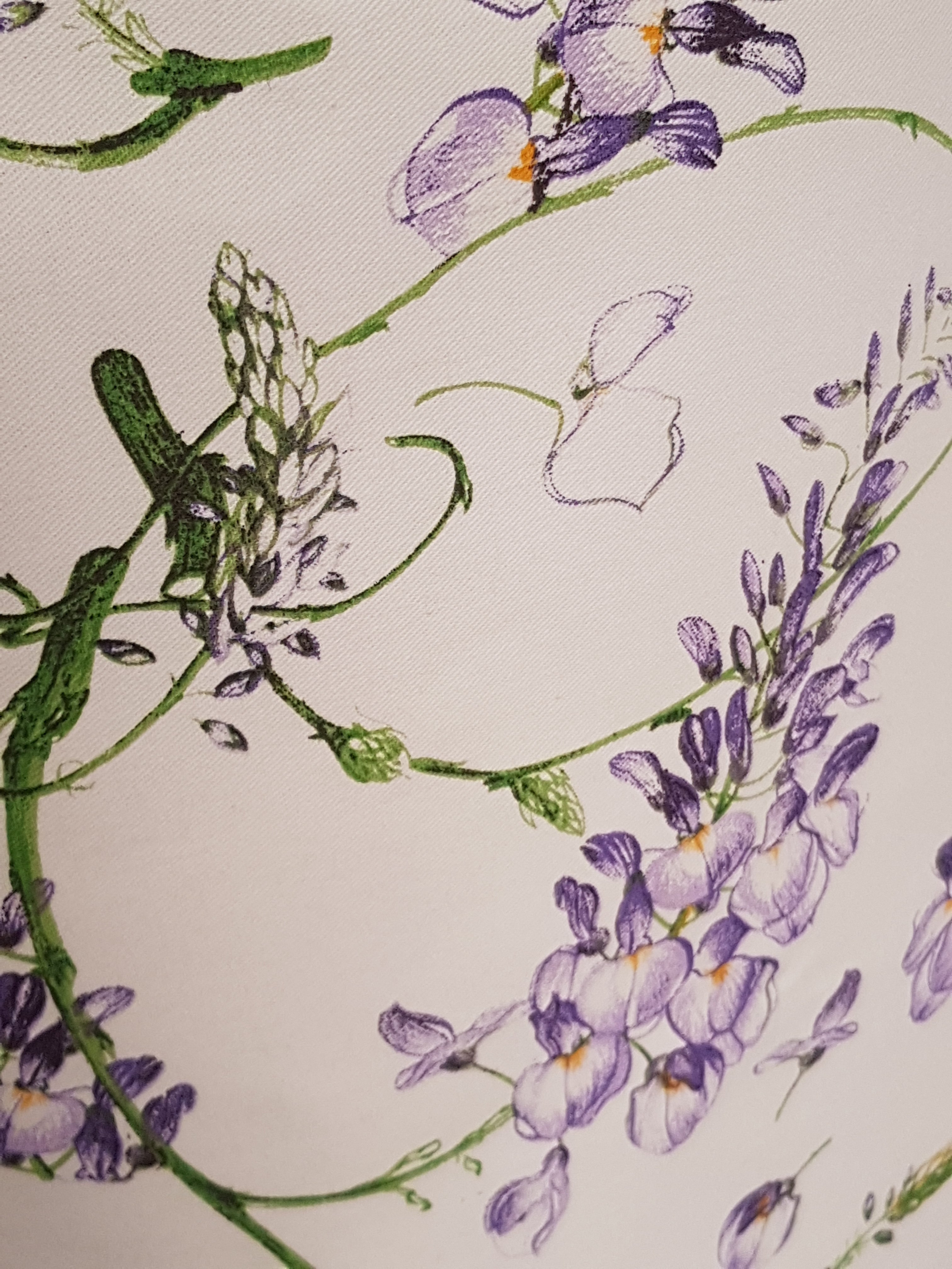 Grembiule Cucina Glicine