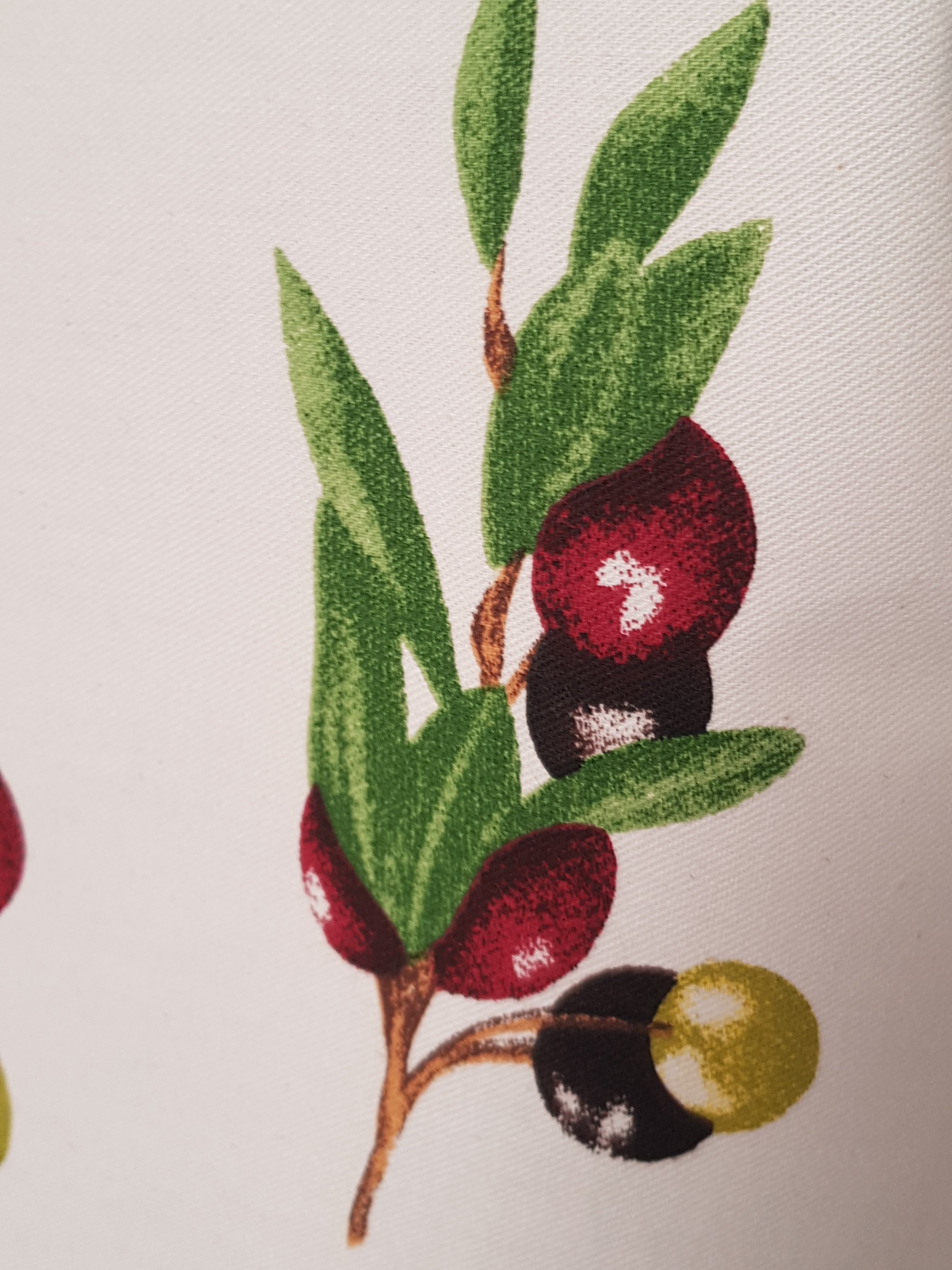 Grembiule Cucina Olive
