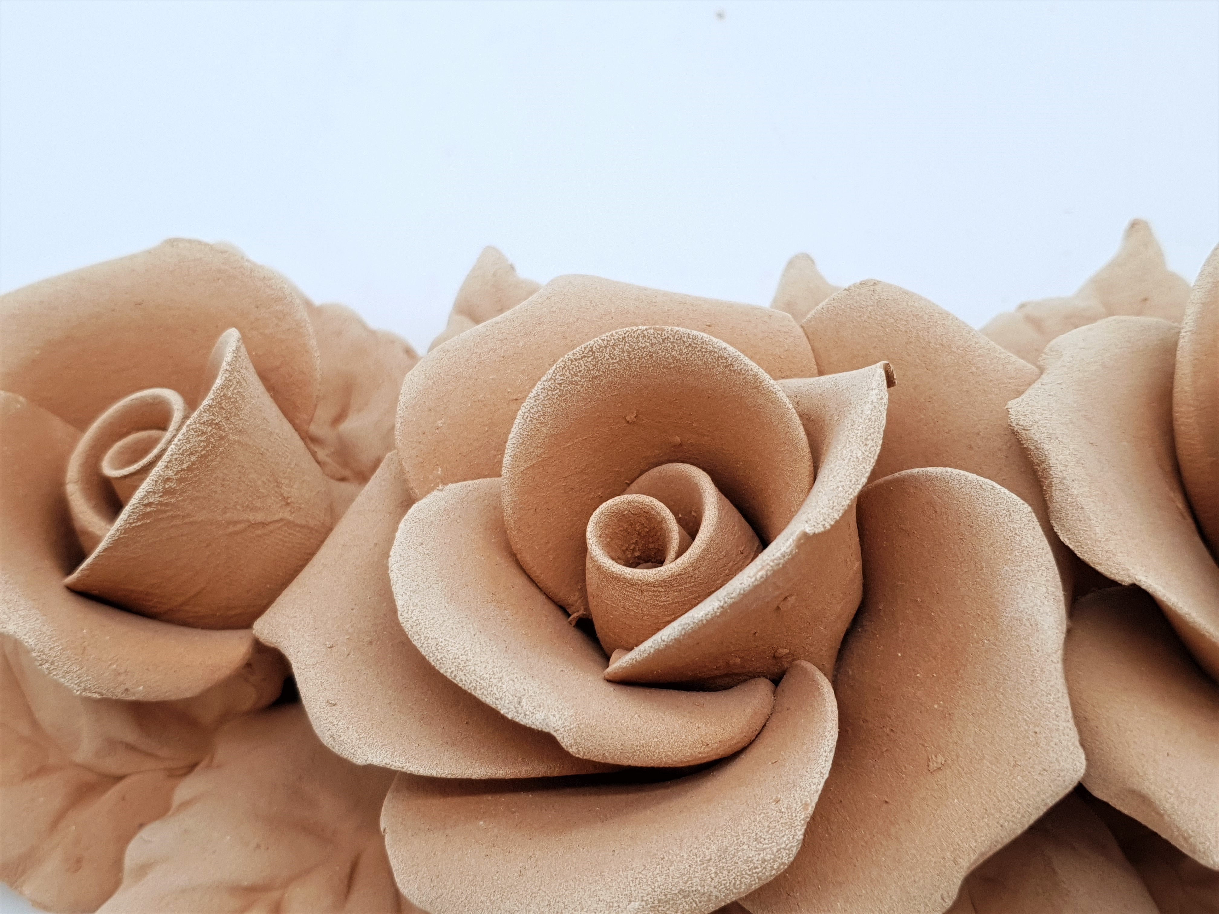 Terracotta Rose Drape – TINACCI TITO E MARIA GRAZIA SNC