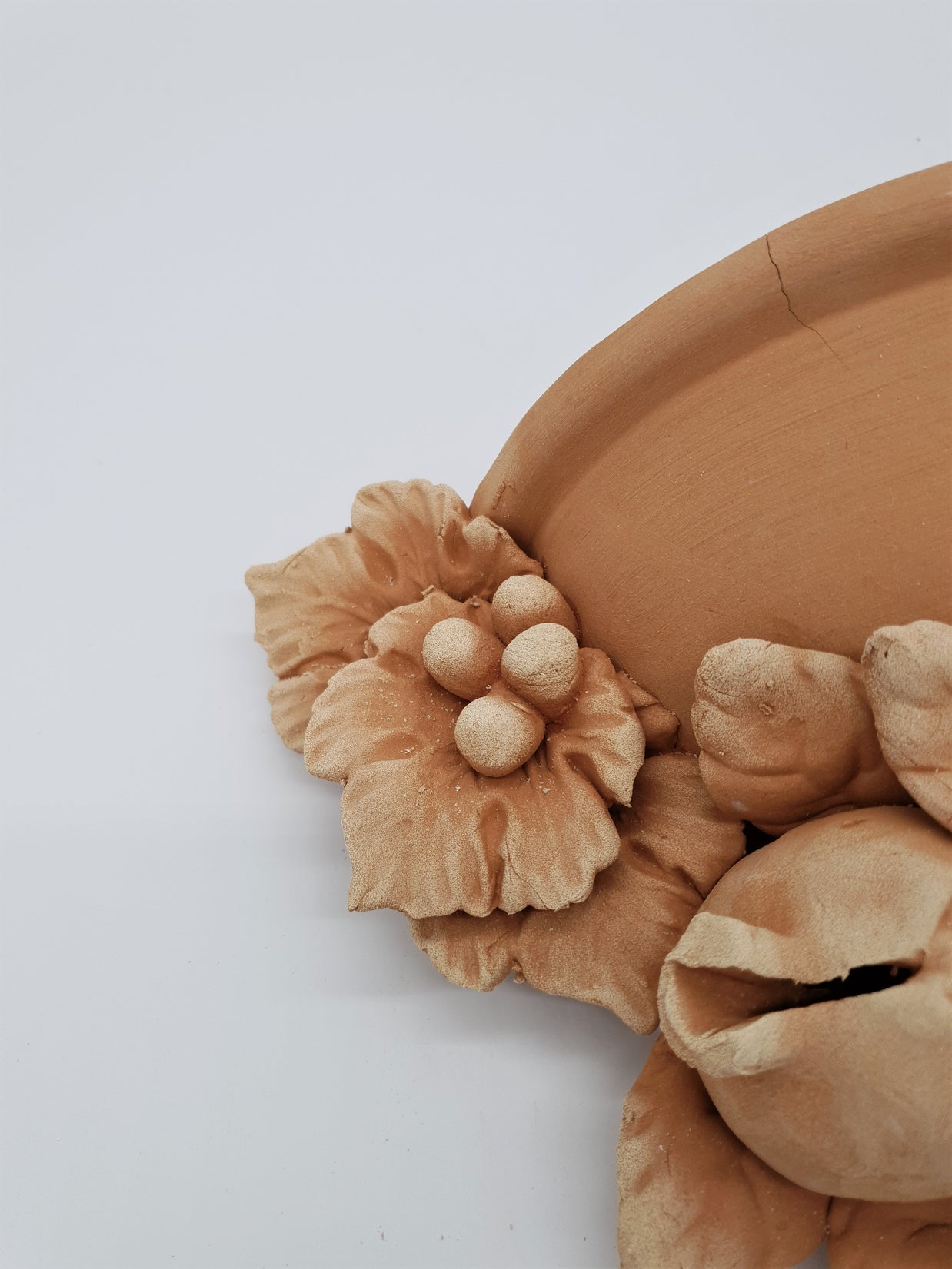 Tasca Da Muro Per Fiori Terracotta